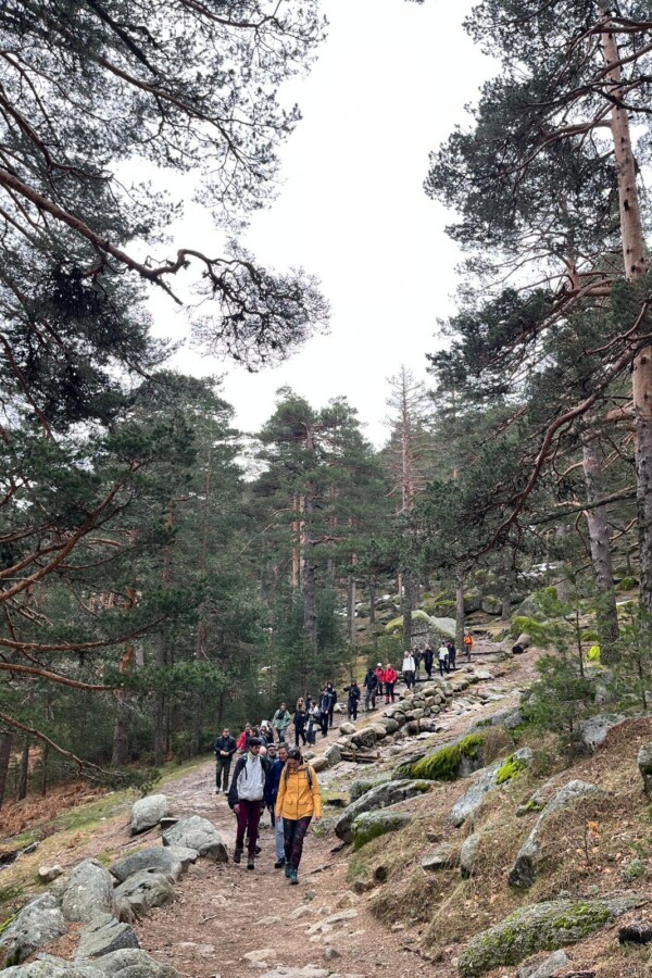 Img 20250412 Wa0039