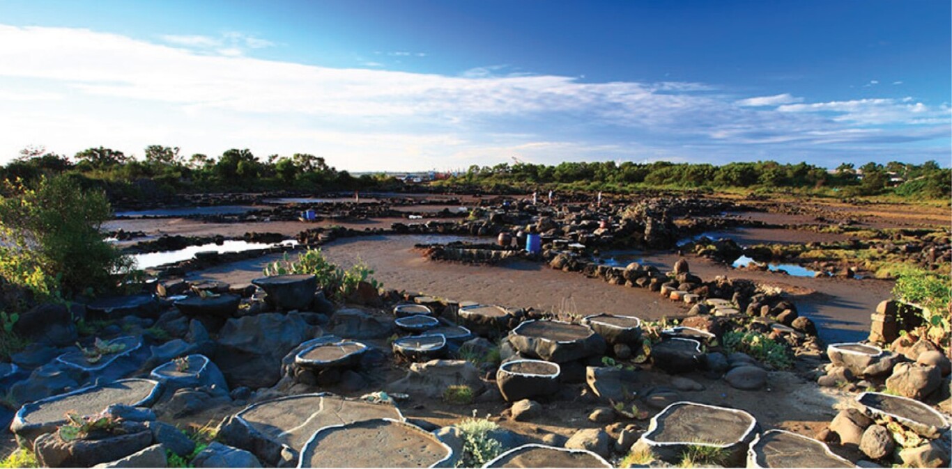 Image Of Local Salt Field