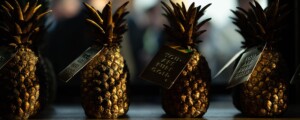 Best new Infrastructure project - Pineapple Award