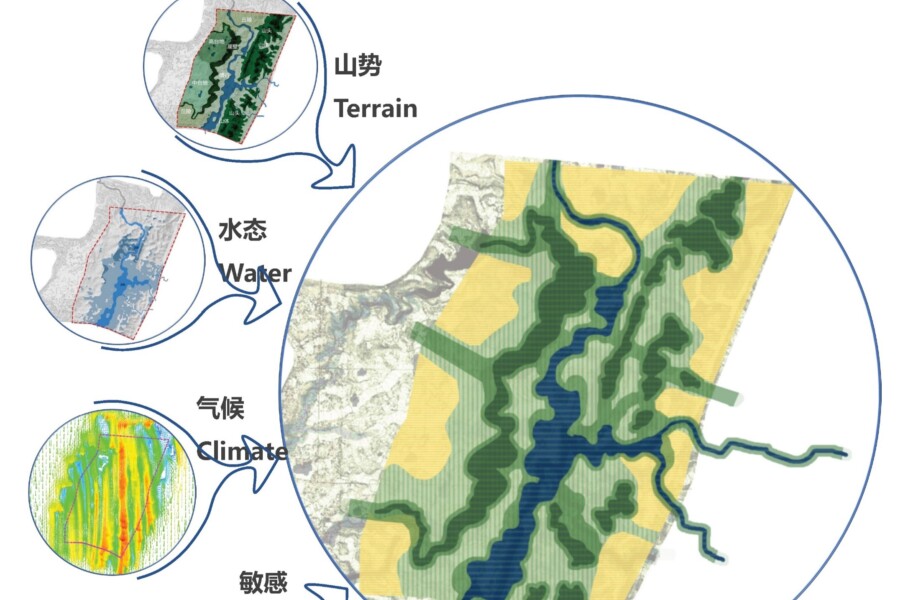 Ecology Analysis Of Site